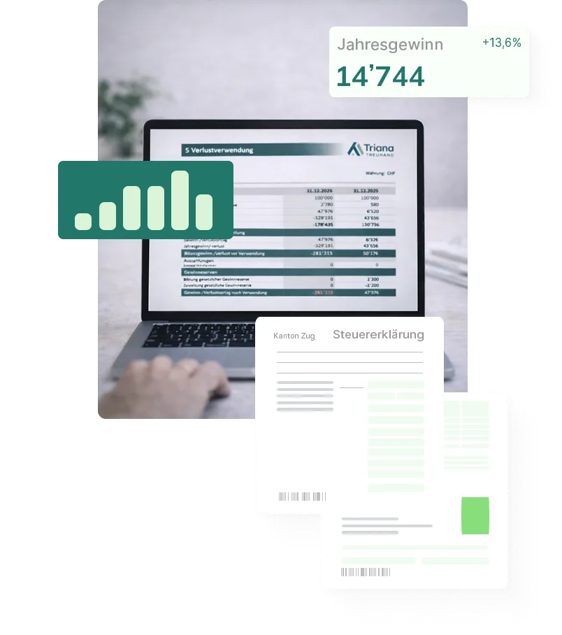 Digital annual financial statement and tax documents